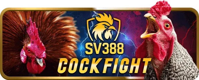 Hướng dẫn tải 77win APK